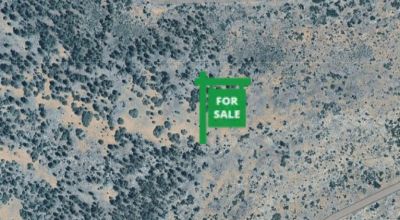 New Mexico Mountain land. East side of Monzano Mountains