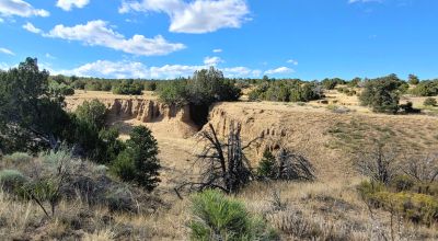 Treed Parcel - Arroyo at Back Property Line - Views - Near 2 Lakes