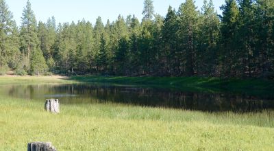 Unique and Rare Parcel Near Bly Mountain Pass - Borders  Pond - Meadows