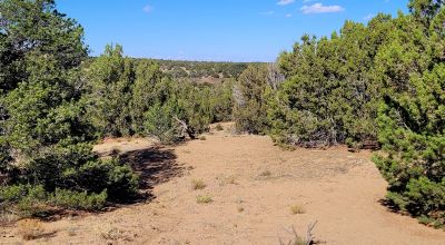 Treed Parcel - Arroyo at Back Property Line - Views - Near 2 Lakes