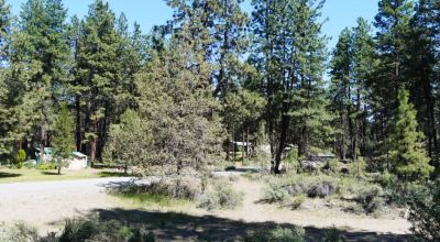 Bonanza Oregon land - 2 adjoining lots with Trees - Power at Road
