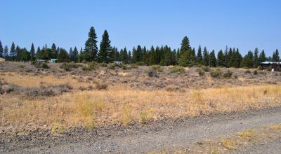5 Adjacent Lots on Fifth Street in Sprague River Oregon
