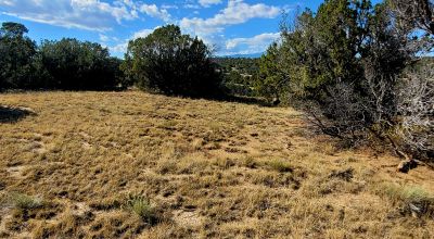 Treed Parcel - Arroyo at Back Property Line - Views - Near 2 Lakes