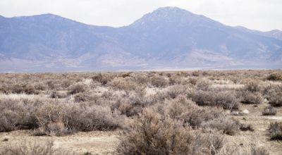 2 adjoining 80 acre parcels * Dolly Varden