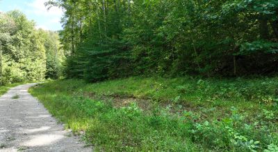 Discover Your Dream Escape in Fentress County, TN!