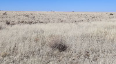 1.25 Acre Vacant Lot Near Power Poles Located in Sun Valley, AZ for starts at $99 per month