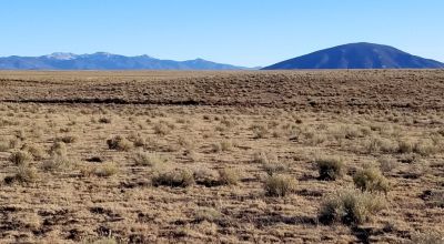 Recreational Camping Lots near Rio Grande River - Several to choose from