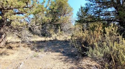 Sprague River Valley Views * Trees * Mobiles, modulars, site-builds ok