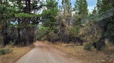 Level Building Lot Oregon - Camp - RV - Build