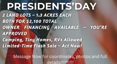 PRESIDENTS’ DAY FLASH SALE – TWO PROPERTIES IN NAVAJO COUNTY, AZ