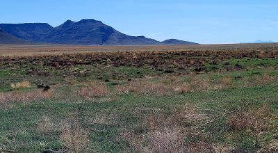 30 acres East of Manassa Colorado - No restrictions
