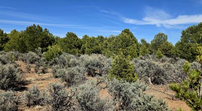 1 Acre Taos Tres Piedras New Mexico - Camp RV Build No restrictions