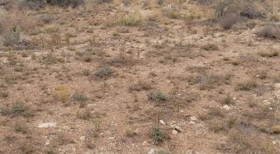30 acre Central New Mexico Property Windmill Ranch Excellent Roads. Power at Road