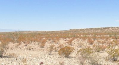 80 acres Mountains of West Texas Desert