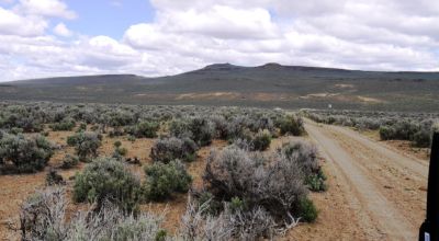40 acres Near Massacre Lake - Extreme  Remoteness - Borders BLM lands