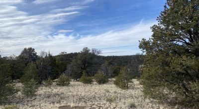 Rare! Bureau of Indian Affairs Inholding 40 acres - New Mexico
