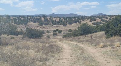 Surrounded by Santa Fe National Forest - Near Las Campanas and Golf Course - 8 Miles from Santa Fe