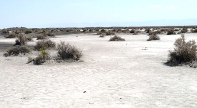 Classic Nevada Desert - Just off Hwy 95
