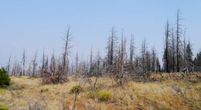 2 adjoining undeveloped residential Lots near Beatty Oregon  * REDUCED due to fire several years ago