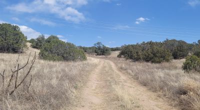 Surrounded by Santa Fe National Forest - Near Las Campanas and Golf Course - 8 Miles from Santa Fe