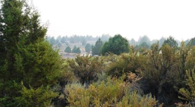 Sprague River Valley - Views - Power - Paved Road Access - Oregon land
