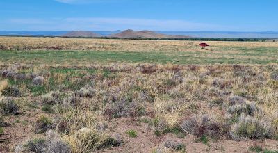 30 acres East of Manassa Colorado - No restrictions
