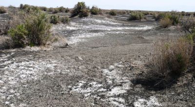 Classic Nevada Desert - Just off Hwy 95
