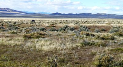 Private 43+ acres * Nevada Mini Ranch * with Massive Western Vistas