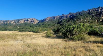 Almost 2 acres in Colorado City Colorado - Trees - Westerly Views