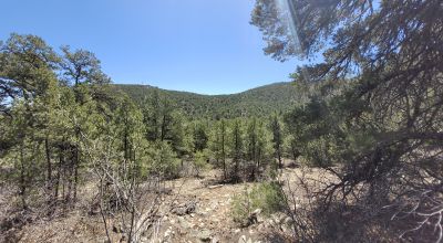 Santa Fe County New Mexico 5 acres in the Mountains - Seasonal Creeks