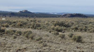 1/2 acre Northern New Mexico. Taos Tres Piedras. Distant mountain views.
