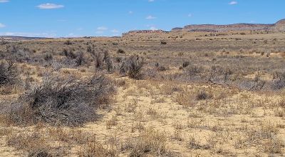 Hwy 509 Frontage - Power at road - Near Ambrosia Lake - Four 1-acre parcels available
