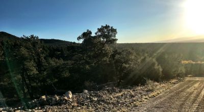 1.17 Acres in the Gated Zapata Community