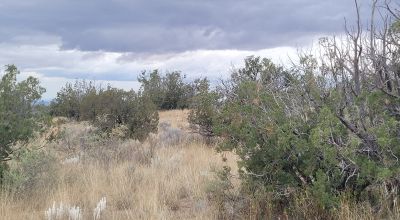 20 acres Scenic New Mexico Huge Southerly Views with Power at the Road