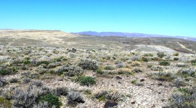 80 acres of Rolling Hills  only $49,000