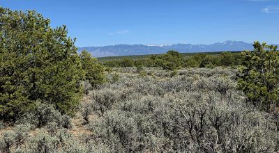 4 adjoining Lots - buy 2 or all 4 - Corner - Some Trees Scenic Views - West of Taos