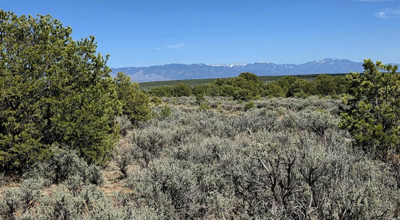4 adjoining Lots - buy 2 or all 4 - Corner - Some Trees Scenic Views - West of Taos