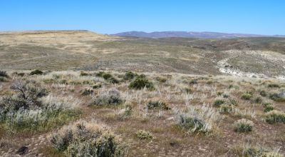 80 acres of Rolling Hills  only $49,000