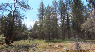 2 adjoining Lots almost 5 acres - Trees - Corner Lot - Camp RV Build