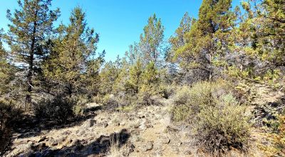 Sprague River Valley Views * Trees * Mobiles, modulars, site-builds ok