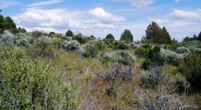 Corner Lot paved road * power, phone at road Huge Sprague River and valley views