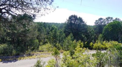 Timberon Residential Building Lot 1 acre Trees - Huge Southerly Views - Water Meter Installed