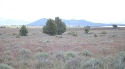 Scenic Oregon 160 acres wide open spaces