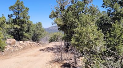 Santa Fe County New Mexico 5 acres in the Mountains - Seasonal Creeks