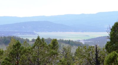 20 acres Oregon Forested Mountain land  near Lakeview & Drews Gap Summit