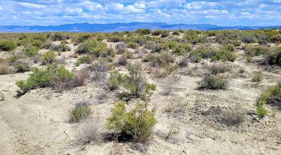 1 Full Section of  Nevada Desert & SAND HILLS  *  1 mile by 1 mile *