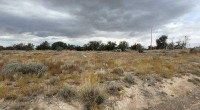 20 acres Scenic New Mexico Huge Southerly Views with Power at the Road