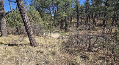 .5 Acres Water on Road, Power Nearby, Timberon NM