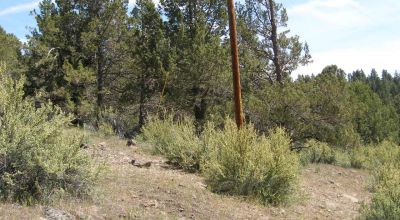 Sprague River Views * Trees * Power * Paved road * Mobiles site-builds Modulars ok