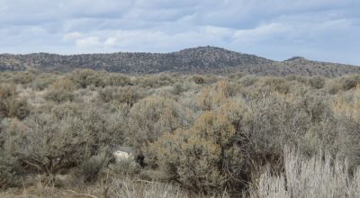 Taos County New Mexico 1/4 acre - off grid - Mobiles RV Earthships allowed